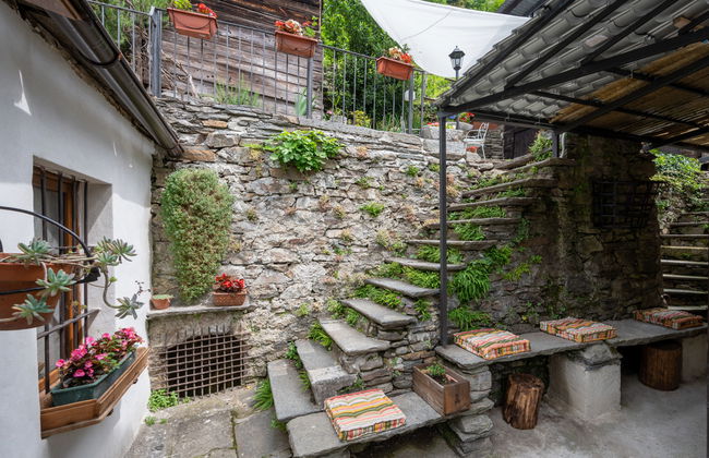 Il Gianlupo Grigio - Foto 21