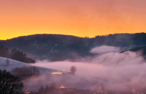 Apart Hotel Goldener Hahn Baiersbronn, Ferienwohnungen | Frühstück, Sauna & Indoorpool - Foto 52