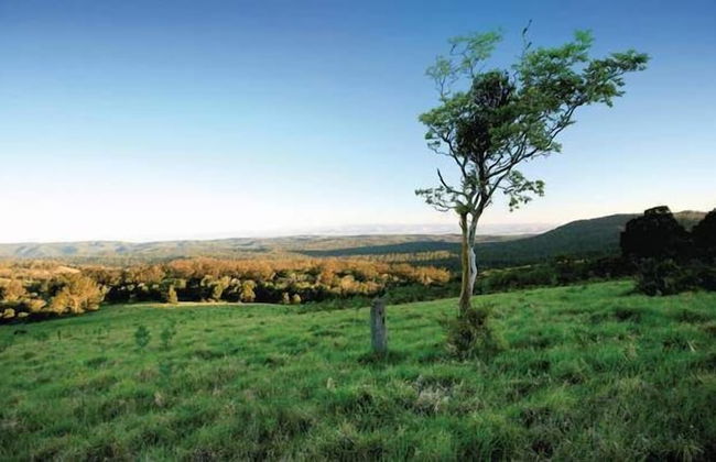 Esk Caravan Park & Motel - Foto 56