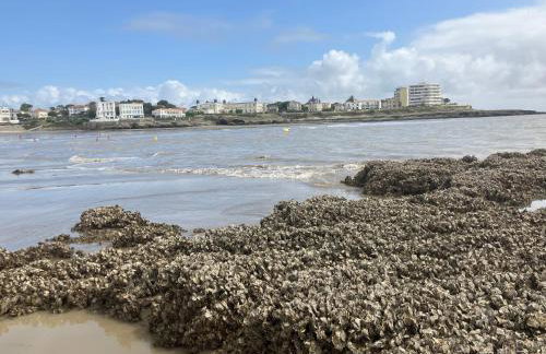 Devant la mer et la plage de ROYAN PONTAILLAC, 4chambres 2 à 8 personnes - Photo 46