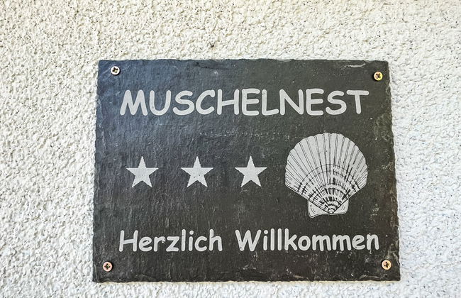 Muschelnest - Foto 5