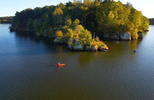 Luxury 4BR Log Cabin Near SIU & Wine Trail - Foto 48