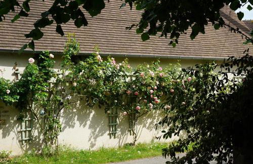 Maison au cœur du village Potier - Foto 4