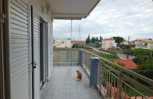 Rea's House Vrachati - Photo 11