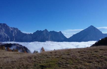 Appartamenti da Nica e Diego - Photo 5