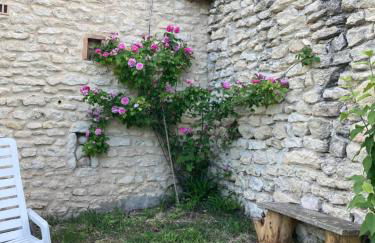 Entre garrigue et potager bio - Foto 57