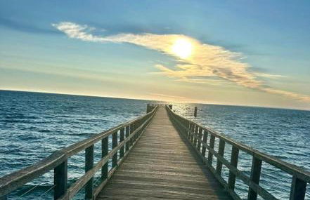 LE CLOS FLEUR de SEL - Foto 31