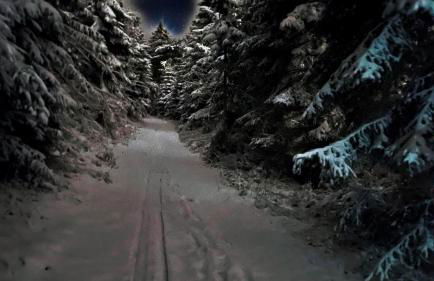 Ferienwohnung-direkt-am-Skihang mit Sauna - Foto 57