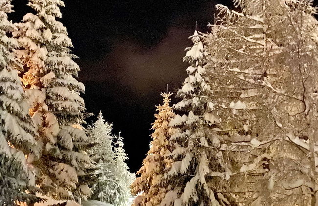 Gunneheim Antares - Foto 13