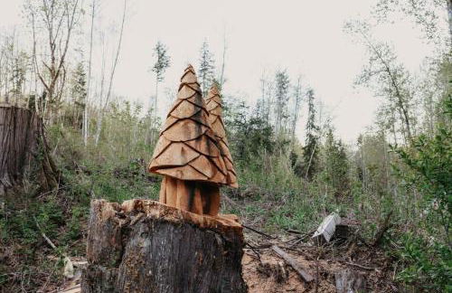 58MF - Wi-Fi - Pets OK - EVC - Amazing Views cabin - Foto 63