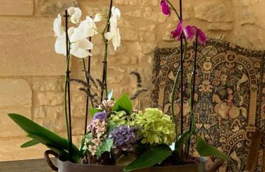 Ferme Redouline - 3 Bedroom, large private pool - Foto 10