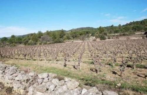 Apartment Die kleine Zikade by Interhome - Foto 23