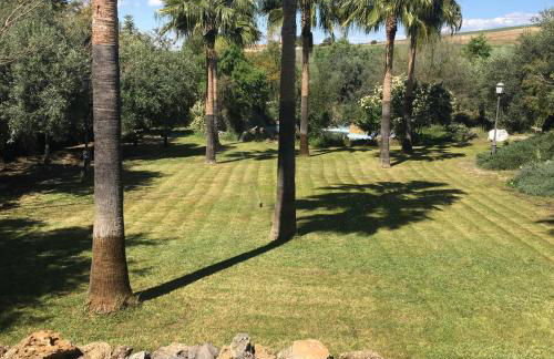 La Algazara - Foto 11