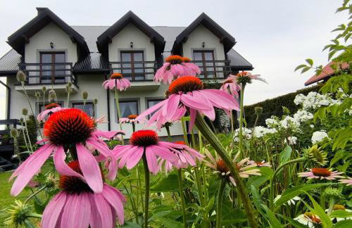 Trzy Sosny Gospodarstwo Agroturystyczne - Photo 9