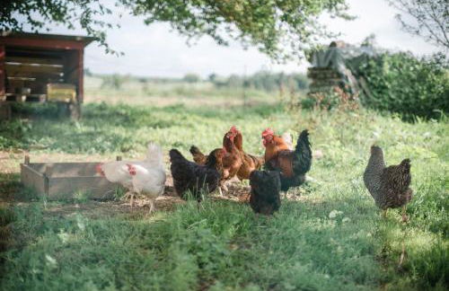 Historischer Pfarrhof Niederleierndorf - Foto 18