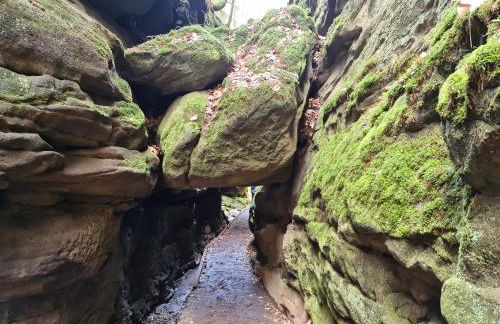 Landhaus Porschdorf - Foto 39