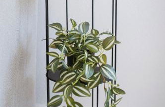 ARMONIA Seaside Lofts - Foto 6