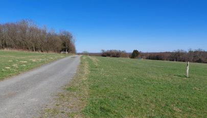 Waldzauber 2 Budget-Apartment - Foto 3