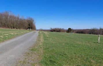 Waldzauber 2 Budget-Apartment - Foto 3