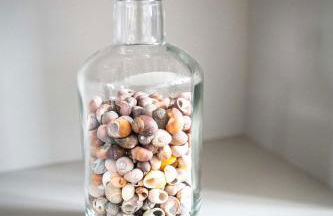 Ty Meham, à 700m de la plage et Meneham, grand terrain calme - Foto 18