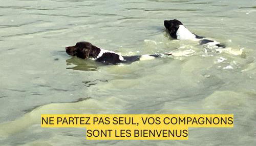 La nuit des Planeurs - Photo 2