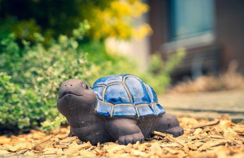 Ennerla Hof - Foto 31