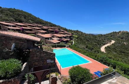 Blue Dawn - Photo 19