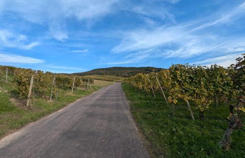 Ferienwohnung Hirsch - Foto 22