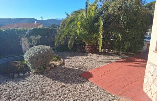 Exclusive Virginia Lloret - Foto 4