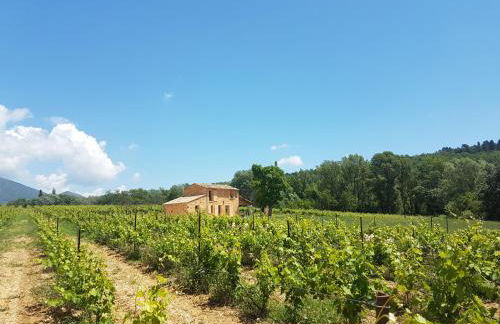 le bastidon - Foto 30