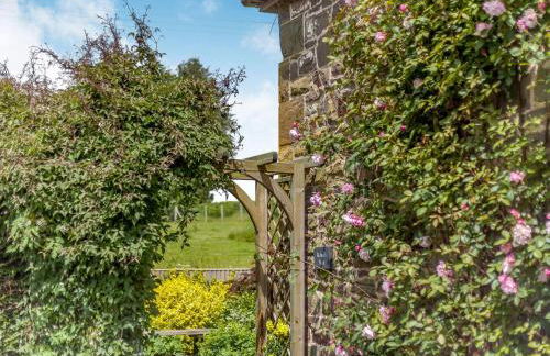 Robin's Nest - Foto 37