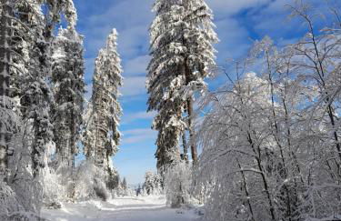 Dorfidylle - Thüringer Wald Rennsteig - Foto 15
