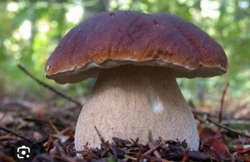 Mansarda Casalina - Foto 13