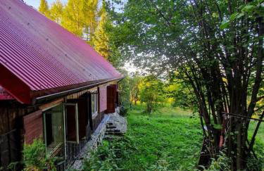 Grapa - Magiczna Leśna Chata - Foto 11