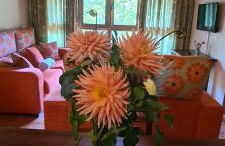 Aptos La Corona-Cabrales-Picos de Europa - Foto 41