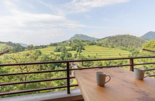 Zubimusu - baskeyrentals - Foto 23