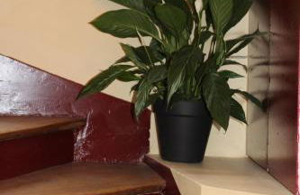 Studios Galaxia - Foto 7