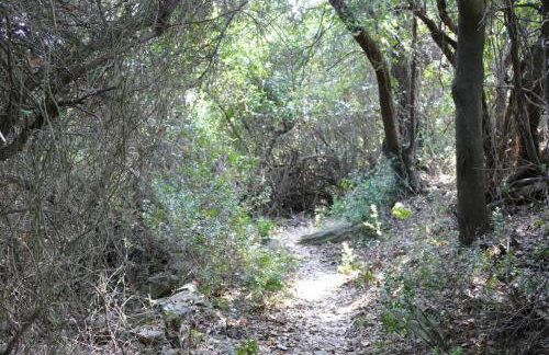 Balcony to the Aegean Sea - Pelion, Lampinou 37012 - Foto 26