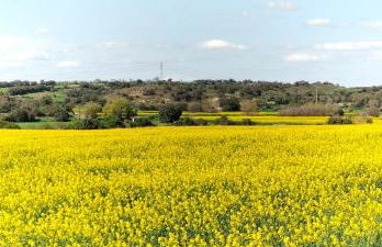 Cal Belló - Foto 62