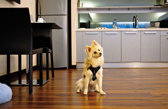 Las Suites Campos Eliseos - Foto 64