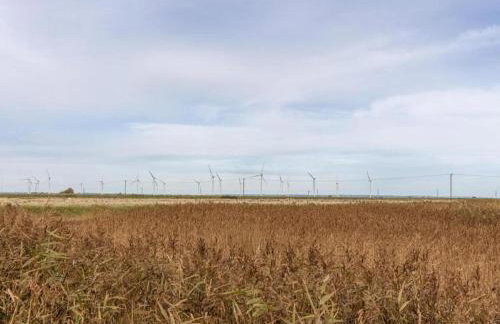 Charming Cottage in Romney Marsh Britain with Wooden Deck - Photo 8