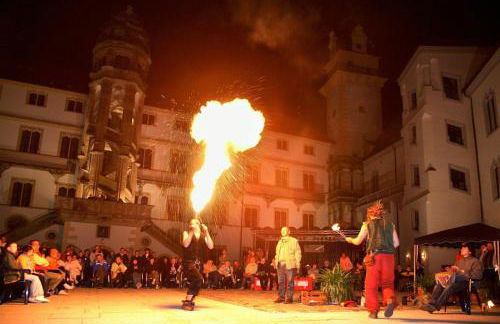 Altstadt-Ferienwohnung-Torgau - Foto 7