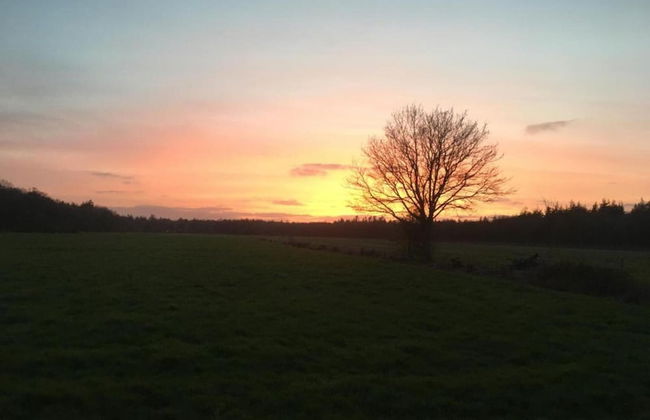 Lakeside Bliss in Friesland - Foto 15