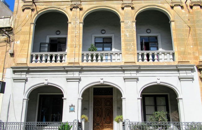 Maltese Maltese - Foto 55