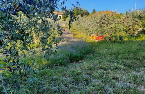 Il Mandorlo - Foto 47