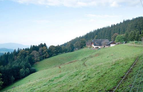 Kapfenmathishof Urlaubsbauernhof - Foto 6
