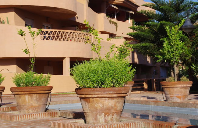 Apartementos Almerimar Golf - Foto 24