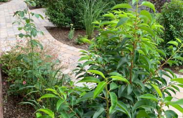 Ferienwohnung Am Haarhaus - Foto 23