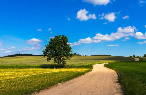 Trójmiasto nad jeziorem DOM -ECHOCHATA - Foto 35