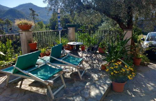 azienda agricola zulin casa elena - Foto 69